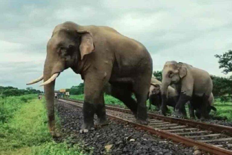 Kharagpur