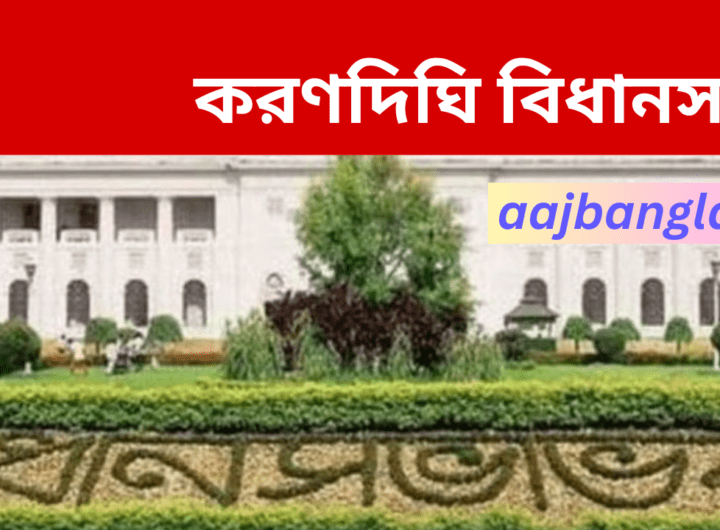 Karandighi Assembly