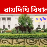 Raidighi Assembly