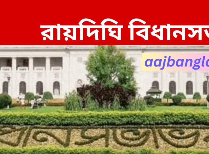 Raidighi Assembly