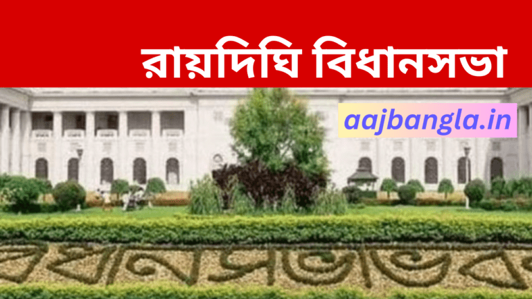 Raidighi Assembly