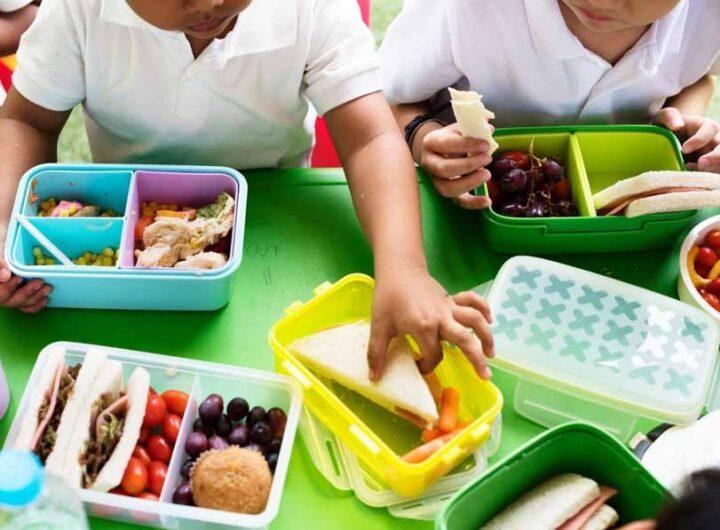 school tiffin